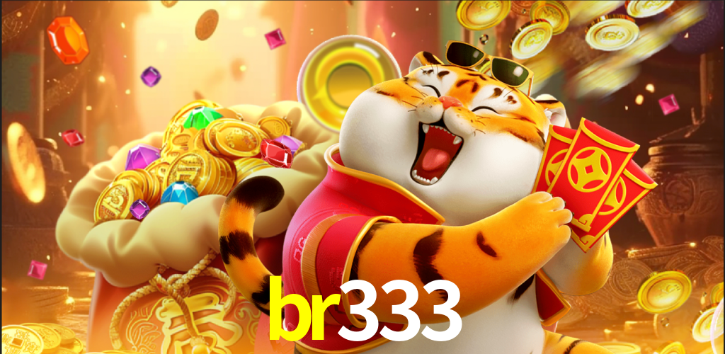 br333.com